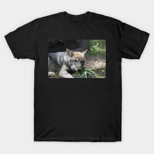 Wolf Puppy T-Shirt